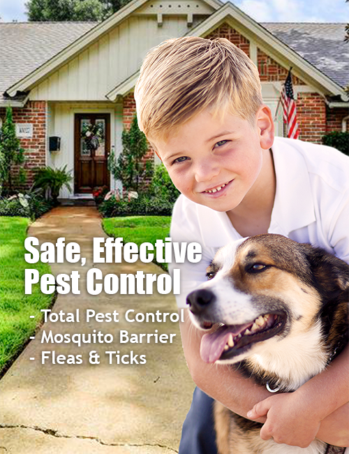 button for Pest Control Services Page